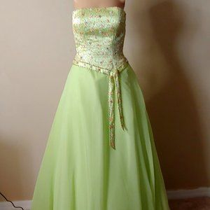 NWT Tiffany Ball Gown Prom Dress Princess Dress